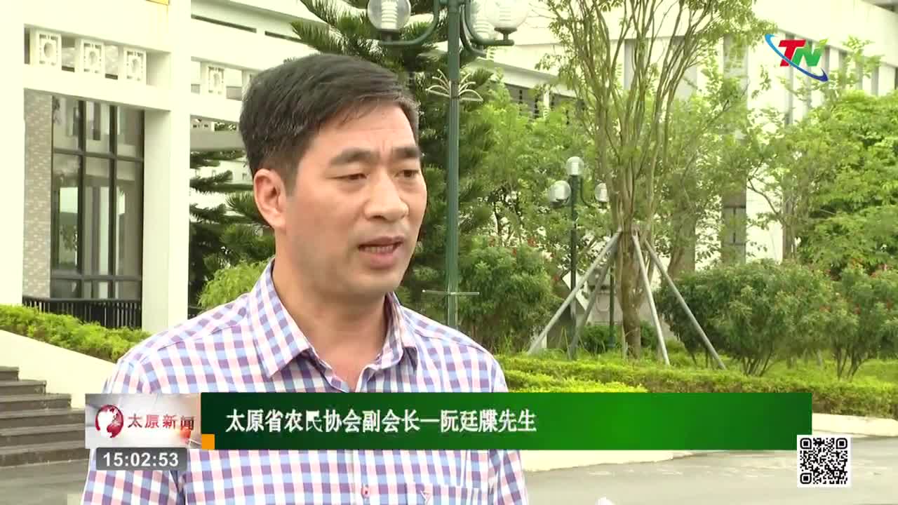 A man in a plaid shirt speaks into a microphone, his words likely broadcast by Thai Nguyen TV. Behind him, a modern building stands against a backdrop of lush greenery. A man in a plaid shirt speaks into a microphone, his words likely broadcast by Thai Nguyen TV. Behind him, a modern building stands against a backdrop of lush greenery.