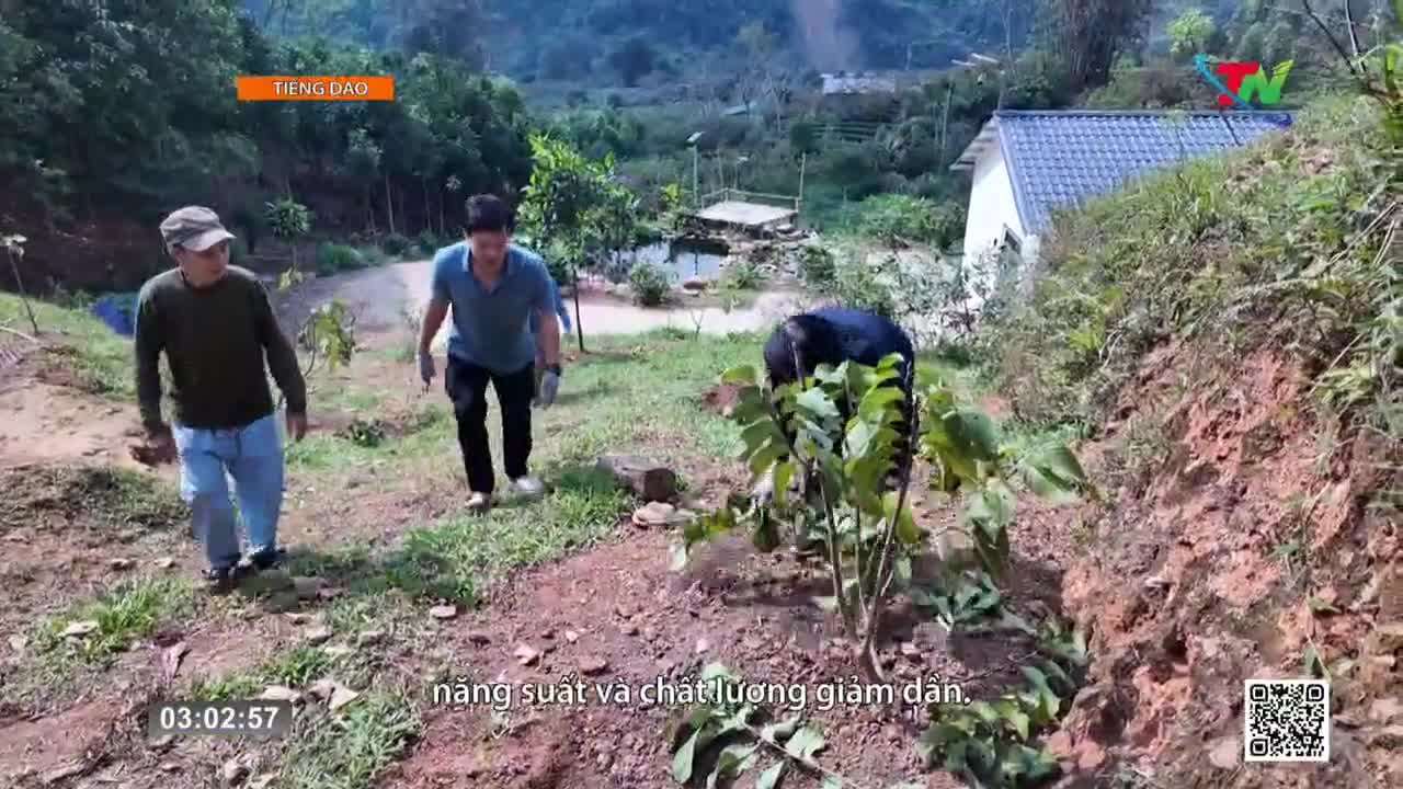 Two men walk up a dirt path in a rural Vietnamese landscape. One man bends to tend to young plants, while another approaches from behind. Two men walk up a dirt path in a rural Vietnamese landscape. One man bends to tend to young plants, while another approaches from behind.