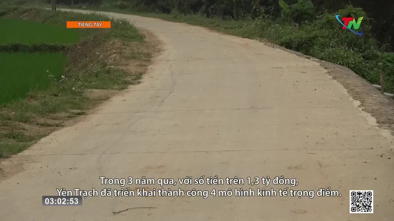 The concrete road curves ahead, flanked by green rice paddies and lush vegetation. A small bridge with a stone embankment marks the side of the path. The concrete road curves ahead, flanked by green rice paddies and lush vegetation. A small bridge with a stone embankment marks the side of the path.