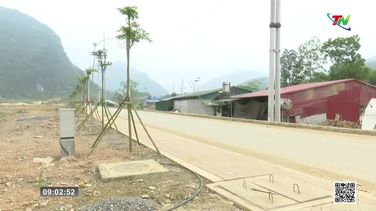 Young trees, staked with bamboo, line the dusty roadside. Buildings with corrugated metal roofs stand behind a paved walkway. Young trees, staked with bamboo, line the dusty roadside. Buildings with corrugated metal roofs stand behind a paved walkway.
