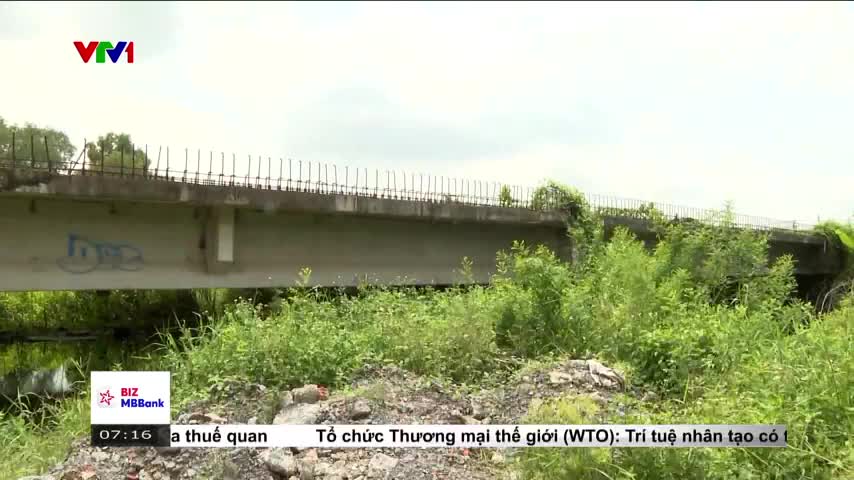 A concrete structure, likely a bridge, stretches across the frame, its unfinished top lined with exposed rebar. Lush green vegetation grows wild beneath it, as seen on VTV1.
