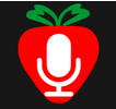 FM Frutillar TV